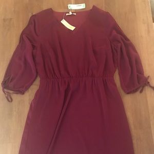 NWT Plum Dress w/ Sheer Sleeves Sz XL